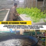 mbminvestigasi.com | Polresta Pekanbaru Perkuat Ketahanan Pangan Melalui Monitoring Tanaman Bergizi dan Budidaya Ikan Warga