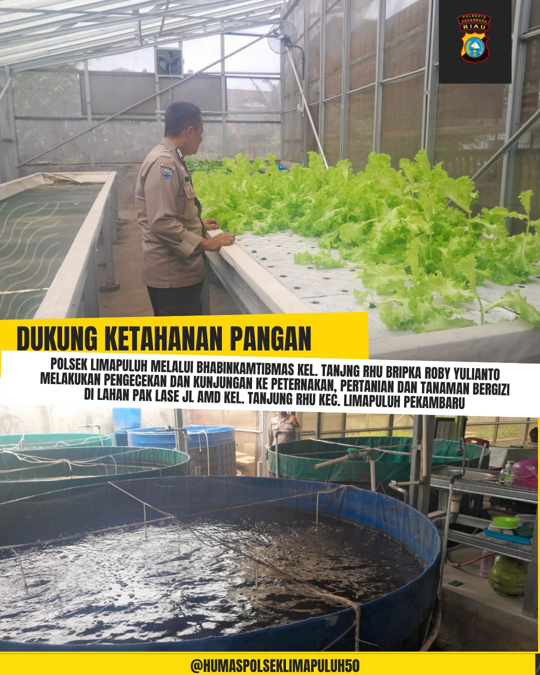 mbminvestigasi.com | Polresta Pekanbaru Perkuat Ketahanan Pangan Melalui Monitoring Tanaman Bergizi dan Budidaya Ikan Warga