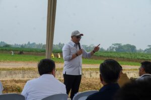 mbminvestigasi.com | Lampung Dorong Investasi Energi Hijau, Proyek Bioetanol Siap Dikembangkan