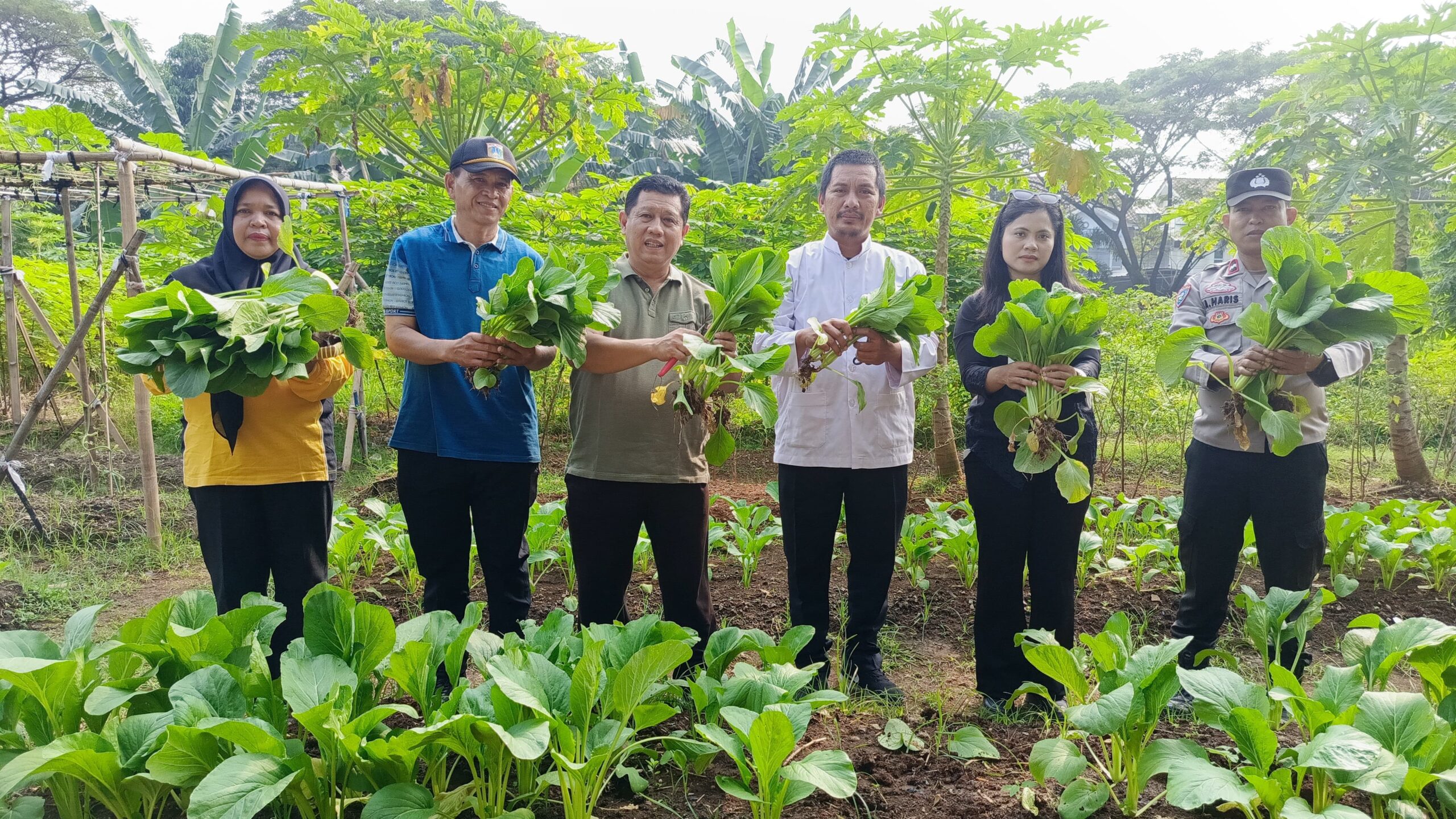 mbminvestigasi.com | Panen Sawi, Terong, dan Kangkung di Duri Kosambi, Kebersamaan Warga dan Polisi Dukung Ketahanan Pangan