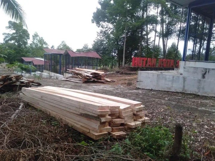 mbminvestigasi.com | Publik Pertanyakan Legalitas Penebangan Pohon di Kawasan Wisata Hutan Kota Pasaman Barat