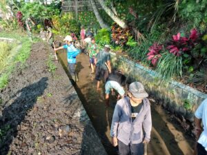 mbminvestigasi.com | Babinsa Koramil 10/Sambi Bersama Warga Bersihkan Irigasi, Dukung Ketahanan Pangan di Desa Catur