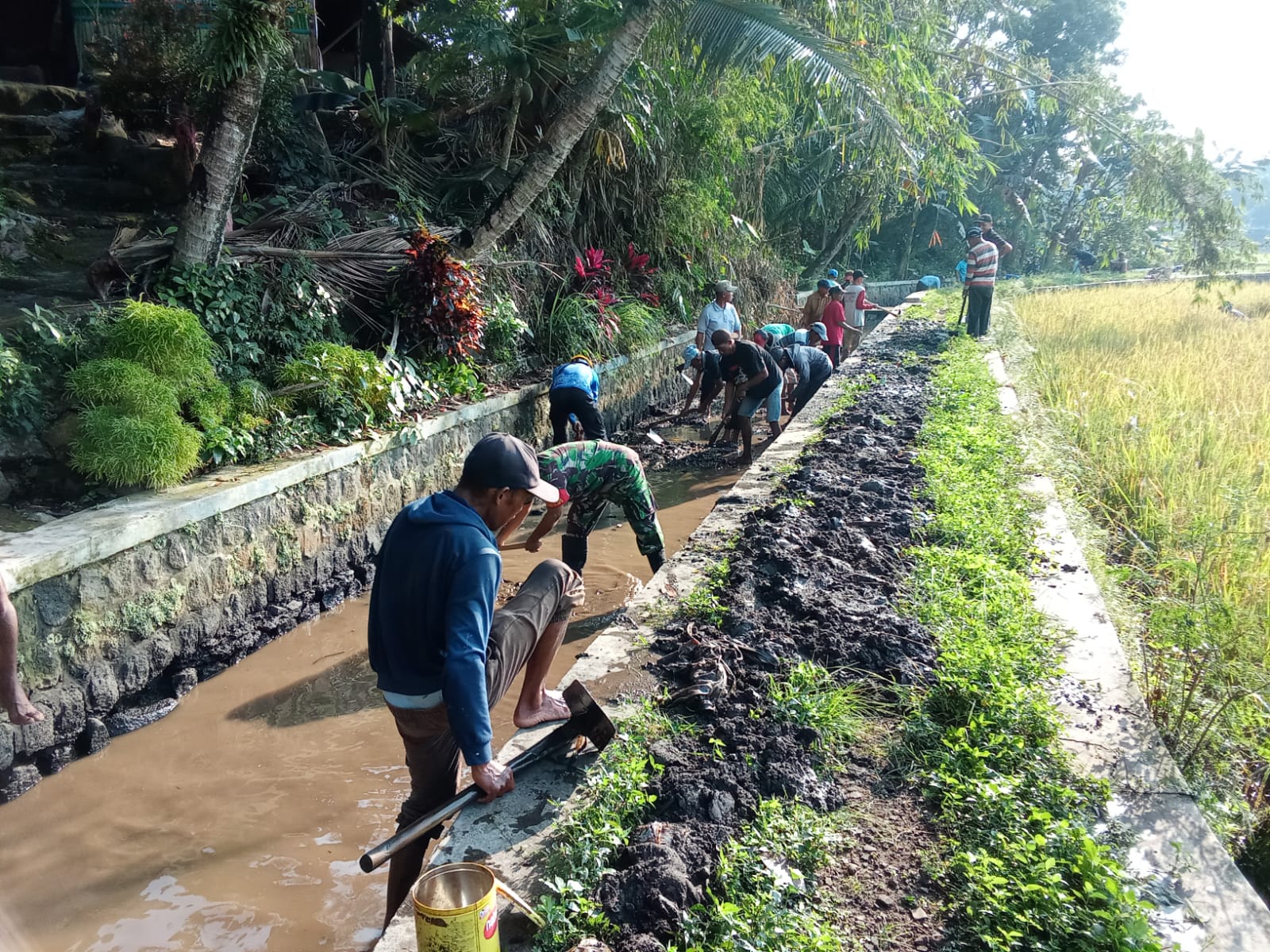 mbminvestigasi.com | Babinsa Koramil 10/Sambi Bersama Warga Bersihkan Irigasi, Dukung Ketahanan Pangan di Desa Catur