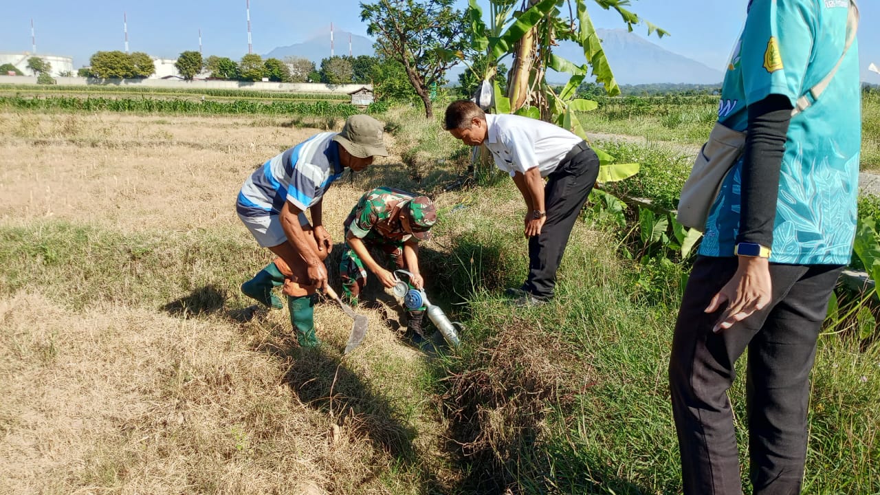 mbminvestigasi.com | Lawan Hama Tikus, Babinsa Bersama Petani Kompak Gelar Gerdal Serentak