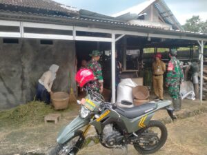 mbminvestigasi.com | Dukung Swasembada Pangan, Babinsa Koramil Jatiroto Kunjungi Tempat Penggilingan Padi