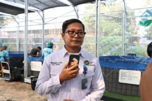 mbminvestigasi.com | 516 Ekor Lele Dipanen di SPPG Palmerah, Siap Diolah untuk Program Makan Bergizi Gratis
