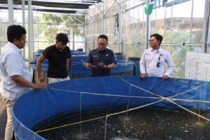 mbminvestigasi.com | 516 Ekor Lele Dipanen di SPPG Palmerah, Siap Diolah untuk Program Makan Bergizi Gratis