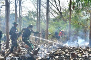 mbminvestigasi.com | Masuki musim Kemarau, Kodim Wonogiri Gelar Latihan Penanggulangan Bencana Alam Kebakaran Hutan Lahan
