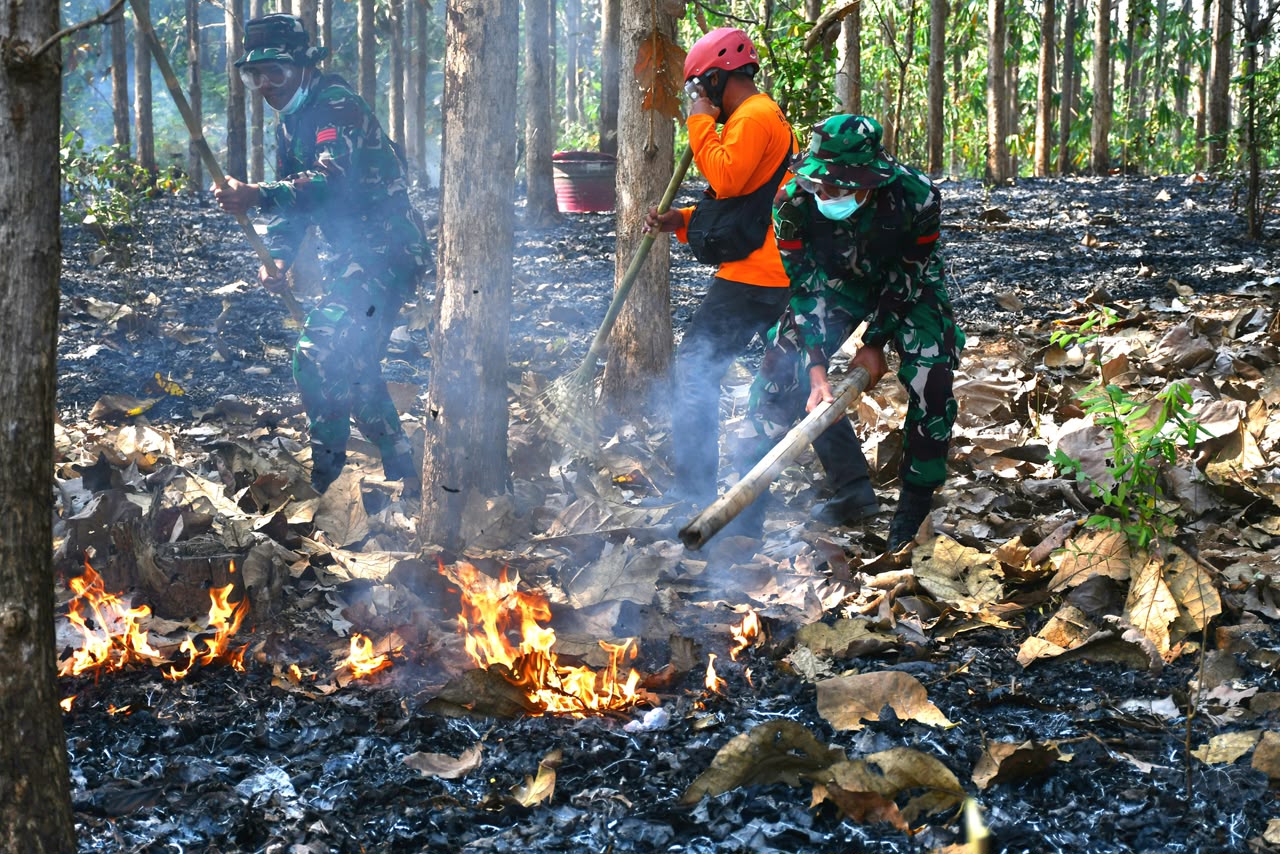 mbminvestigasi.com | Masuki musim Kemarau, Kodim Wonogiri Gelar Latihan Penanggulangan Bencana Alam Kebakaran Hutan Lahan