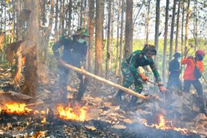 mbminvestigasi.com | Masuki musim Kemarau, Kodim Wonogiri Gelar Latihan Penanggulangan Bencana Alam Kebakaran Hutan Lahan