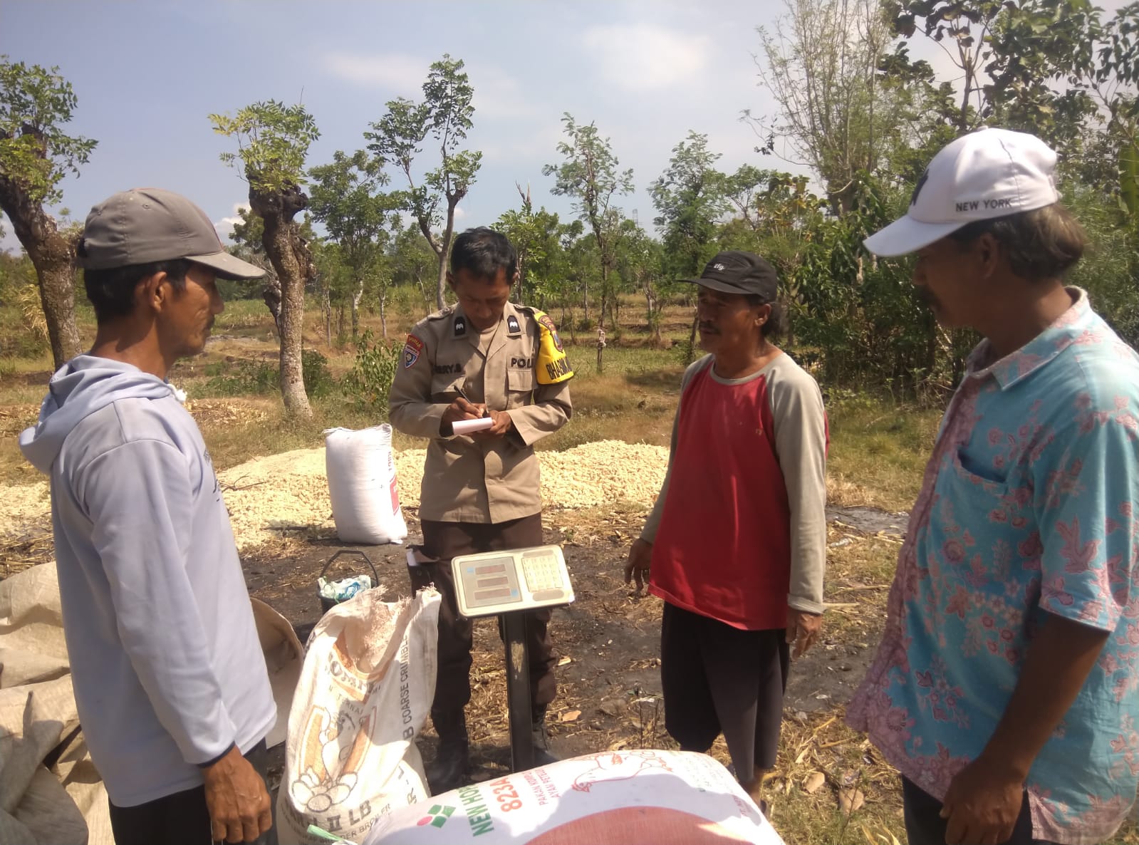mbminvestigasi.com | Polisi Dampingi Petani Bantu Distribusi 2,8 Ton Jagung Petani Rebono ke Bulog