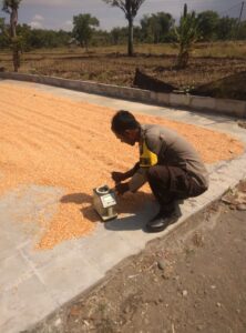 mbminvestigasi.com | Polisi Dampingi Petani Bantu Distribusi 2,8 Ton Jagung Petani Rebono ke Bulog