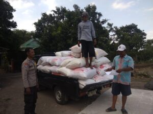 mbminvestigasi.com | Polisi Dampingi Petani Bantu Distribusi 2,8 Ton Jagung Petani Rebono ke Bulog