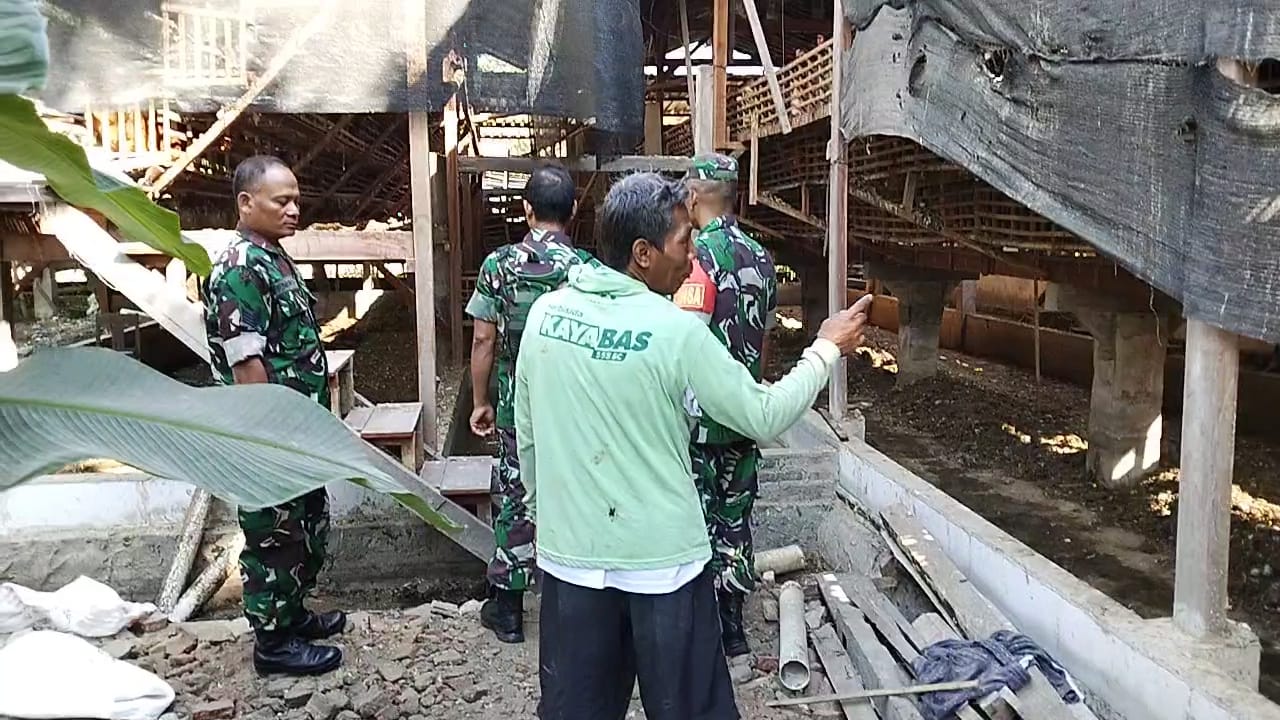 mbminvestigasi.com | Babinsa Turun ke Kandang, Suntik Semangat Peternak Ayam Petelur Hadapi Tantangan Usaha