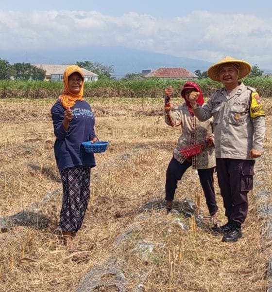 mbminvestigasi.com | SAMBANG SAWAH, BHABINKAMTIBMAS POLSEK MOJOROTO DUKUNG PROGRAM KETAHAN PANGAN