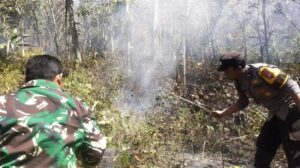 mbminvestigasi.com | Respon Cepat Call Center 110 Polres Ngawi, Kebakaran Lahan di Bukit Gogor Sine Berhasil Dipadamkan