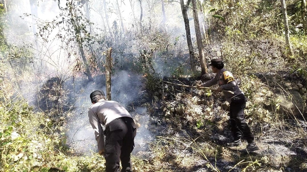 mbminvestigasi.com | Respon Cepat Call Center 110 Polres Ngawi, Kebakaran Lahan di Bukit Gogor Sine Berhasil Dipadamkan