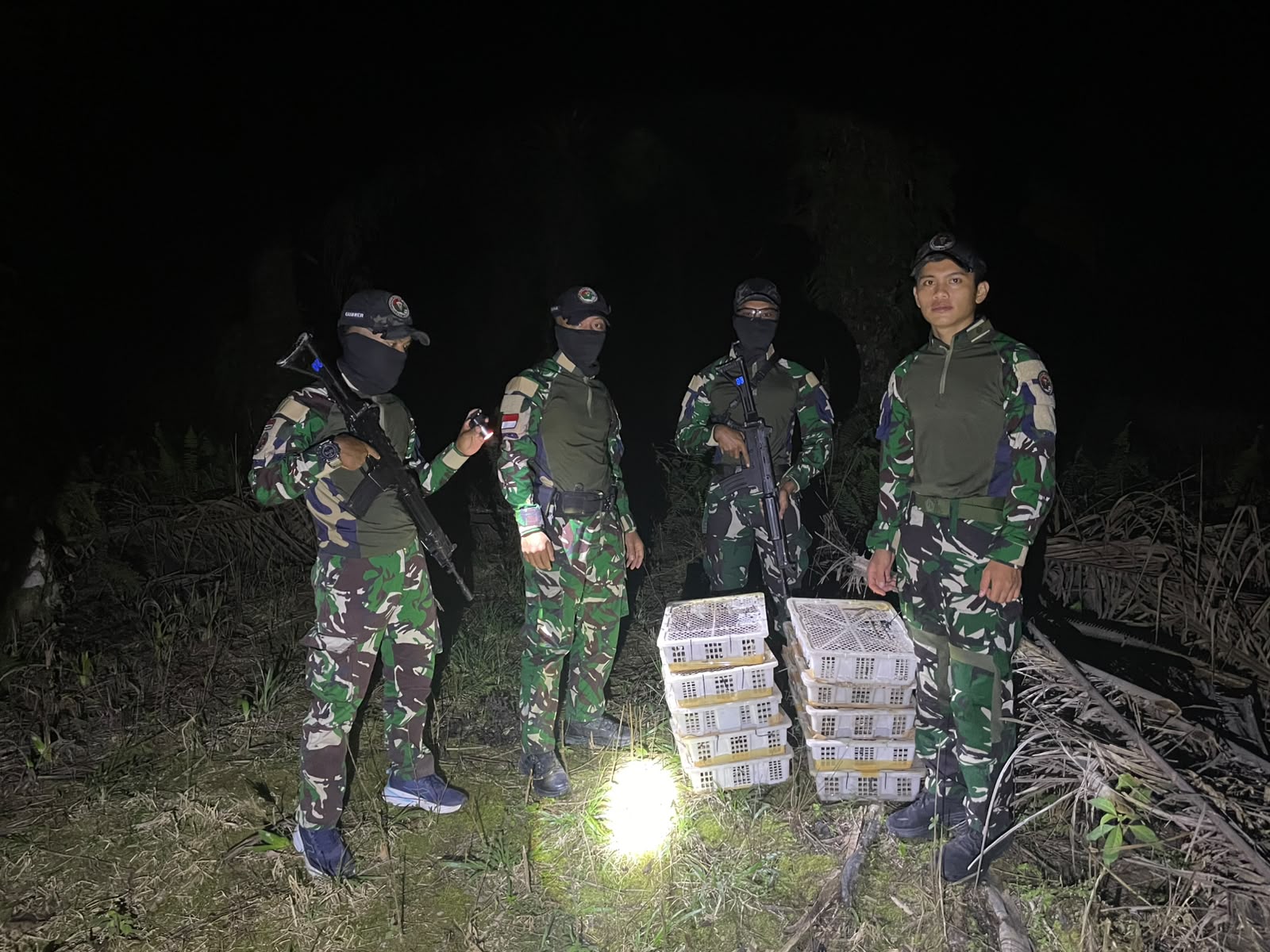 mbminvestigasi.com | Satgas Pamtas RI-Malaysia Yonarmed 19/Bogani Gagalkan Dugaan Penyelundupan 200 Ekor Burung Kacer di Perbatasan