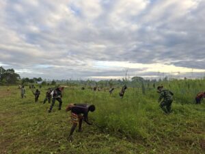 mbminvestigasi.com | Satgas Yonif 123/Rajawali dan Warga Gotong Royong Sambut HUT Ke-81 RI, Perkuat Nasionalisme di Distrik Suator