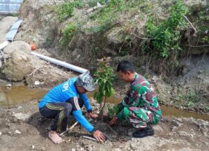 mbminvestigasi.com | Hijaukan Lereng Sungai, Babinsa Mliwis Bersama Warga Tanam Pohon Demi Cegah Banjir dan Longsor mbminvestigasi.com | Hijaukan Lereng Sungai, Babinsa Mliwis Bersama Warga Tanam Pohon Demi Cegah Banjir dan Longsor