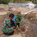 mbminvestigasi.com | Hijaukan Lereng Sungai, Babinsa Mliwis Bersama Warga Tanam Pohon Demi Cegah Banjir dan Longsor