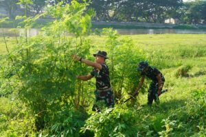 mbminvestigasi.com | Danrem 132/Tadulako Turun Langsung pada Karya Bakti Semarak HUT ke-1 Kodam XXIII/Palaka Wira