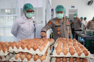 mbminvestigasi.com | Kapolres Metro Jakarta Barat Tinjau SPPG dan Panen Sayuran Pokcoy Di Greenhouse SPPG Polri Palmerah