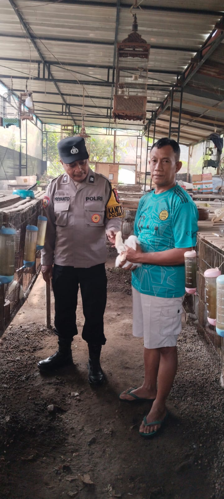mbminvestigasi.com | Polsek Kepung Dorong Pengembangan Peternakan Kelinci untuk Ketahanan Pangan mbminvestigasi.com | Polsek Kepung Dorong Pengembangan Peternakan Kelinci untuk Ketahanan Pangan