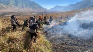 mbminvestigasi.com | Polres Probolinggo Terjunkan Personel Bantu Padamkan Kebakaran Hutan di Gunung Bromo mbminvestigasi.com | Polres Probolinggo Terjunkan Personel Bantu Padamkan Kebakaran Hutan di Gunung Bromo