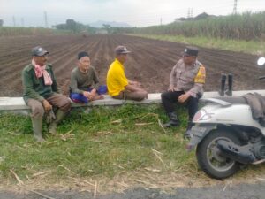 mbminvestigasi.com | Perkuat Ketahanan Pangan, Bhabinkamtibmas Pakunden Aktif Dampingi Petani Jagung