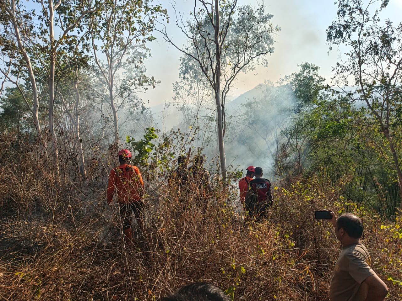 Mbminvestigasi.com | Tim Gabungan Polres Trenggalek Berhasil Evakuasi 4 Pendaki yang Terjebak Kebakaran di Gunung Orak arik Mbminvestigasi.com | Tim Gabungan Polres Trenggalek Berhasil Evakuasi 4 Pendaki yang Terjebak Kebakaran di Gunung Orak arik