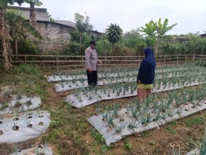 Mbminvestigasi.com | Polri Dampingi Program Pekarangan Pangan Bergizi di Desa Pungging