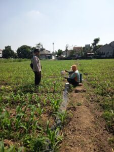 Mbminvestigasi.com | Bhabinkamtibmas Polsek Mojoroto Edukasi Petani Jagung, Dukung Ketahanan Pangan di Banjarmlati