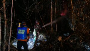 Mbminvestigasi.com | Kobaran Api Hanguskan Lahan di Gunung Gandul, Regu Pemadam Kodim 0728/Wonogiri Bergerak Cepat