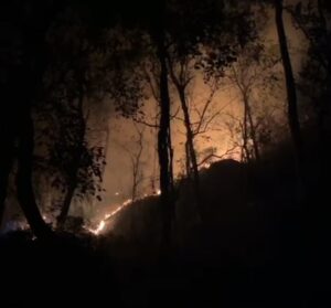 Mbminvestigasi.com | Kobaran Api Hanguskan Lahan di Gunung Gandul, Regu Pemadam Kodim 0728/Wonogiri Bergerak Cepat