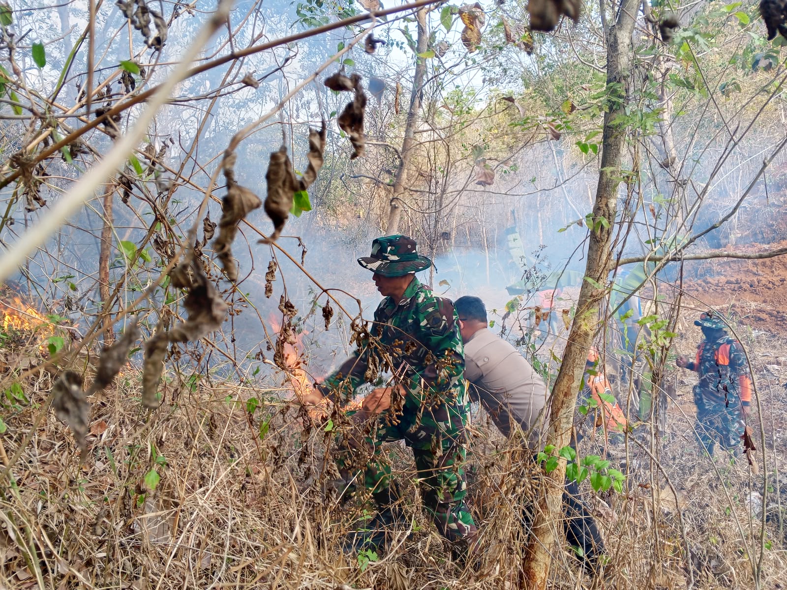 Mbminvestigasi.com | Petugas Gabungan Kembali Padamkan Kebakaran Hutan dan Lahan di Gunung Gajah