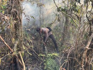 Mbminvestigasi.com | Penanganan Karhutla Hari Keenam, Brimob Kembali Turun Di Biak