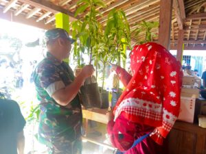 Mbminvestigasi.com | Babinsa Blumbang Hadirkan Cara Unik Rayakan HUT Warga, Sedekah Pohon untuk Lingkungan dan Kebersamaan