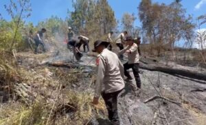 Mbminvestigasi.com | Polres Bondowoso dan Tim Gabungan Tembus Medan Ekstrem, Karhutla di Lereng Ijen Berhasil Dipadamkan