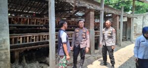 Mbminvestigasi.com | Jaga Produksi Telur, Polsek Kandat Bina Peternak Dukung Ketahanan Pangan