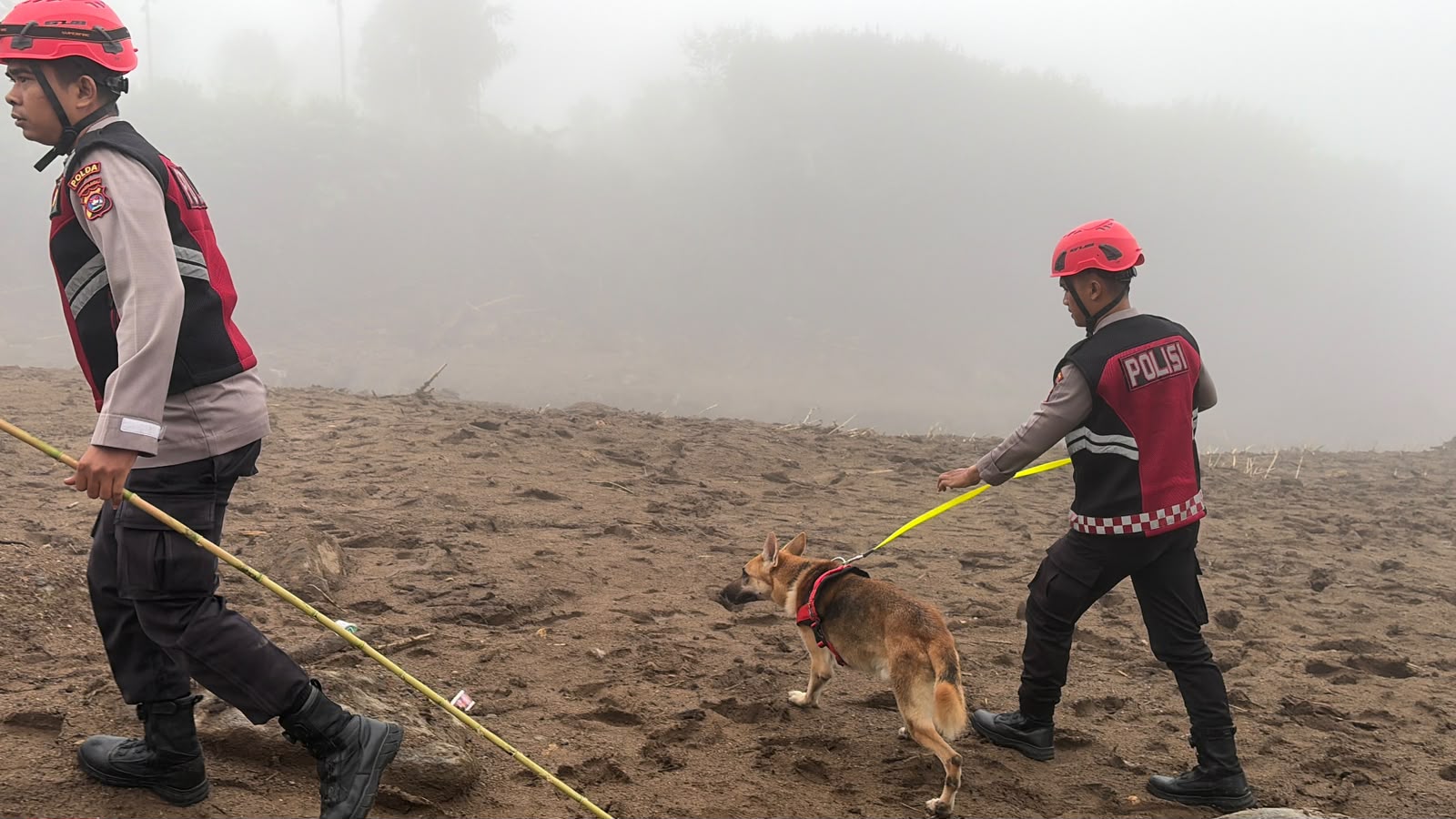 Mbminvestigasi.com | Unit Polsatwa Ditsamapta Polda Sumbar Turunkan K9 Spesifikasi SAR Telusuri Jalur Air Bah