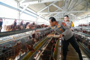 Mbminvestigasi.com | Polda Metro Jaya Jadi Contoh Penguatan Rantai Pasok MBG, Polri Dorong Jajaran Kembangkan Potensi Pangan Lokal