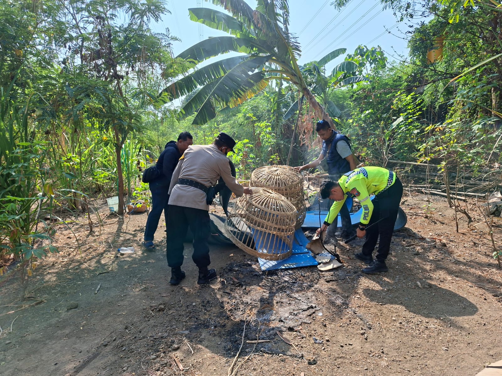 Mbminvestigasi.com | Polsek Waru Bongkar Arena Sabung Ayam di Bungurasih Utara