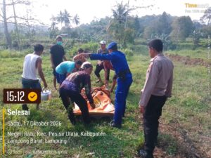 Mbminvestigasi.com | Tenggelam di Pantai Sayar, Seorang warga Asal Pekon Kerbang Langgar Ditemukan Meninggal Dunia, Polres Pesisir Barat Bersama Tim Gabungan Basarnas Lakukan Evakuasi