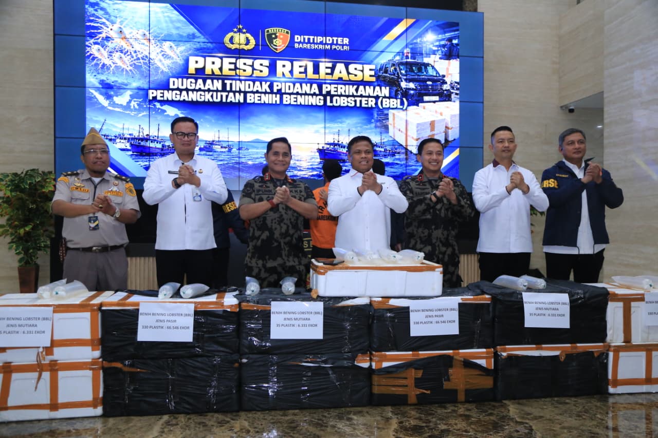 Mbminvestigasi.com | Polri Ungkap Jaringan Penyelundupan Baby Lobster Lintas Negara, Dua Pelaku Ditangkap Mbminvestigasi.com | Polri Ungkap Jaringan Penyelundupan Baby Lobster Lintas Negara, Dua Pelaku Ditangkap