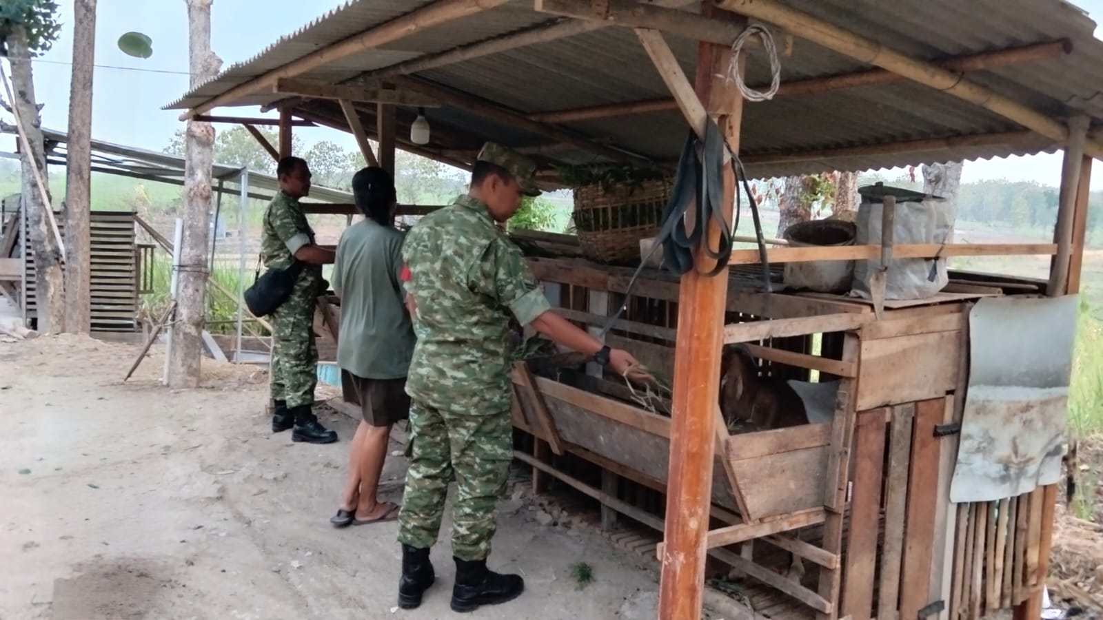 Mbminvestigasi.com | Jaga Lingkungan Tetap Asri, Babinsa Ingatkan Peternak Kambing Antisipasi Bau Kandang Mbminvestigasi.com | Jaga Lingkungan Tetap Asri, Babinsa Ingatkan Peternak Kambing Antisipasi Bau Kandang