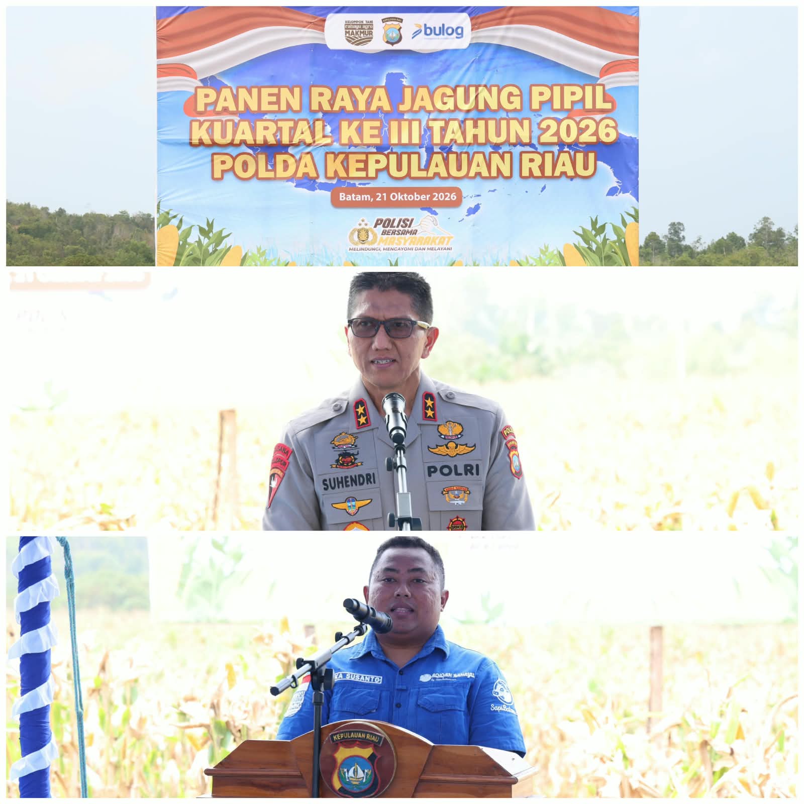 Mbminvestigasi.com | PANEN RAYA JAGUNG PIPIL, POLDA KEPRI PERKUAT KETAHANAN PANGAN BERSAMA KELOMPOK TANI Mbminvestigasi.com | PANEN RAYA JAGUNG PIPIL, POLDA KEPRI PERKUAT KETAHANAN PANGAN BERSAMA KELOMPOK TANI