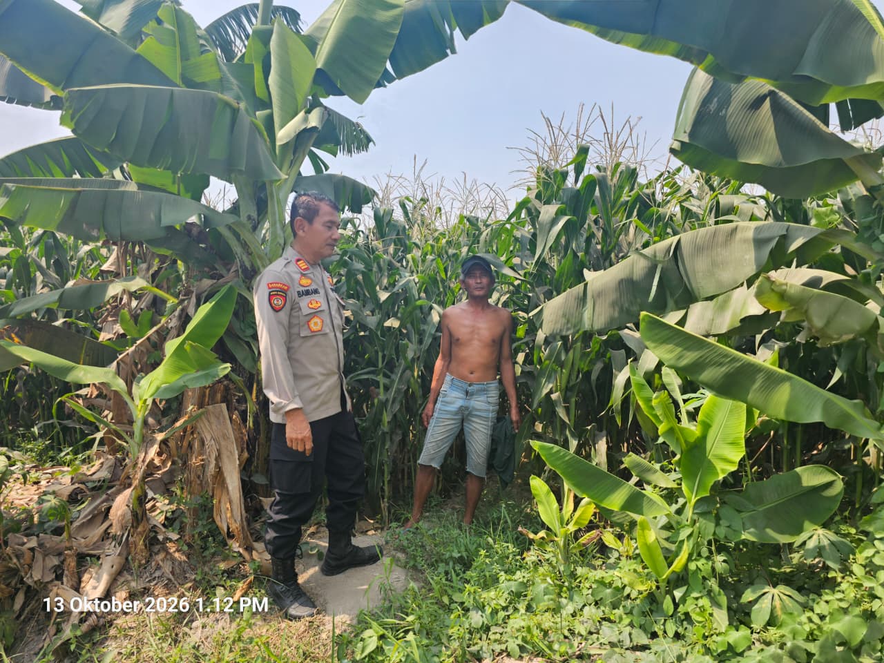 Mbminvestigasi.com | Polsek Kunjang Ikut Bantu Panen Jagung, Dorong Keberlanjutan Usaha Desa Mbminvestigasi.com | Polsek Kunjang Ikut Bantu Panen Jagung, Dorong Keberlanjutan Usaha Desa