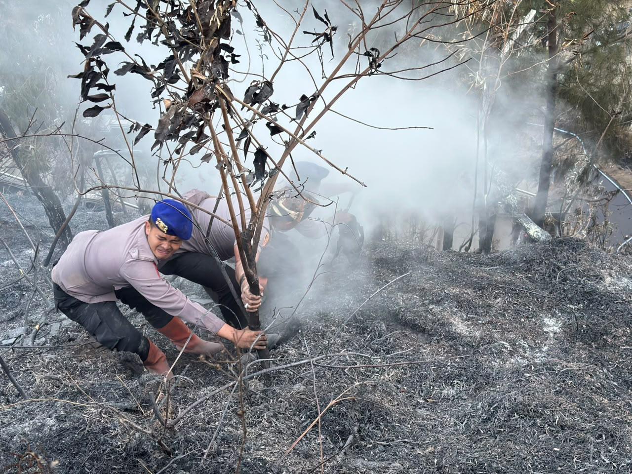 Mbminvestigasi.com | Personel BKO Polda Jatim Gerak Cepat Padamkan Titik Api, Cegah Karhutla TNBTS Meluas Mbminvestigasi.com | Personel BKO Polda Jatim Gerak Cepat Padamkan Titik Api, Cegah Karhutla TNBTS Meluas