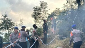 Mbminvestigasi.com | Personel BKO Polda Jatim Gerak Cepat Padamkan Titik Api, Cegah Karhutla TNBTS Meluas
